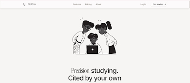 Nubia website preview